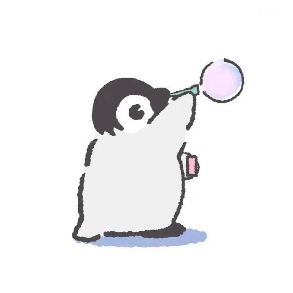 小白的博客
